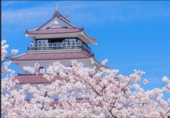 ���׺���ˡ�͡�ʡ�縩ϫƯ�ݷ򥻥�...