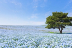 °ìÈ̺âÃÄË¡¿Í¡¡Á´ÆüËÜϫƯʡ»ã¶¨²ñ¡¡...