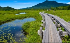 ���̺���ˡ�͡�������ϫƯʡ�㶨�񡡷��ϸ�����