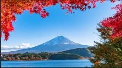 ���׺���ˡ�͡����������񡡻��������±���ͽ�ɰ�إ��󥿡�