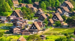 一般財団法人 ききょうの丘健診プラザ