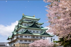 一般財団法人　日本予防医学協会　東日本事業本部　東海課