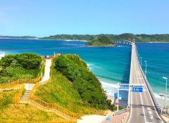 公益財団法人 山口県予防保健協会