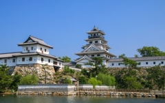 医療法人 菅井内科