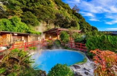 ���̺���ˡ�͡������ܻ��ȱ�������ʬϫƯ�����������󥿡�